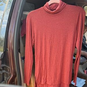 The Limited Rust Red Long Sleeve Turtleneck Top